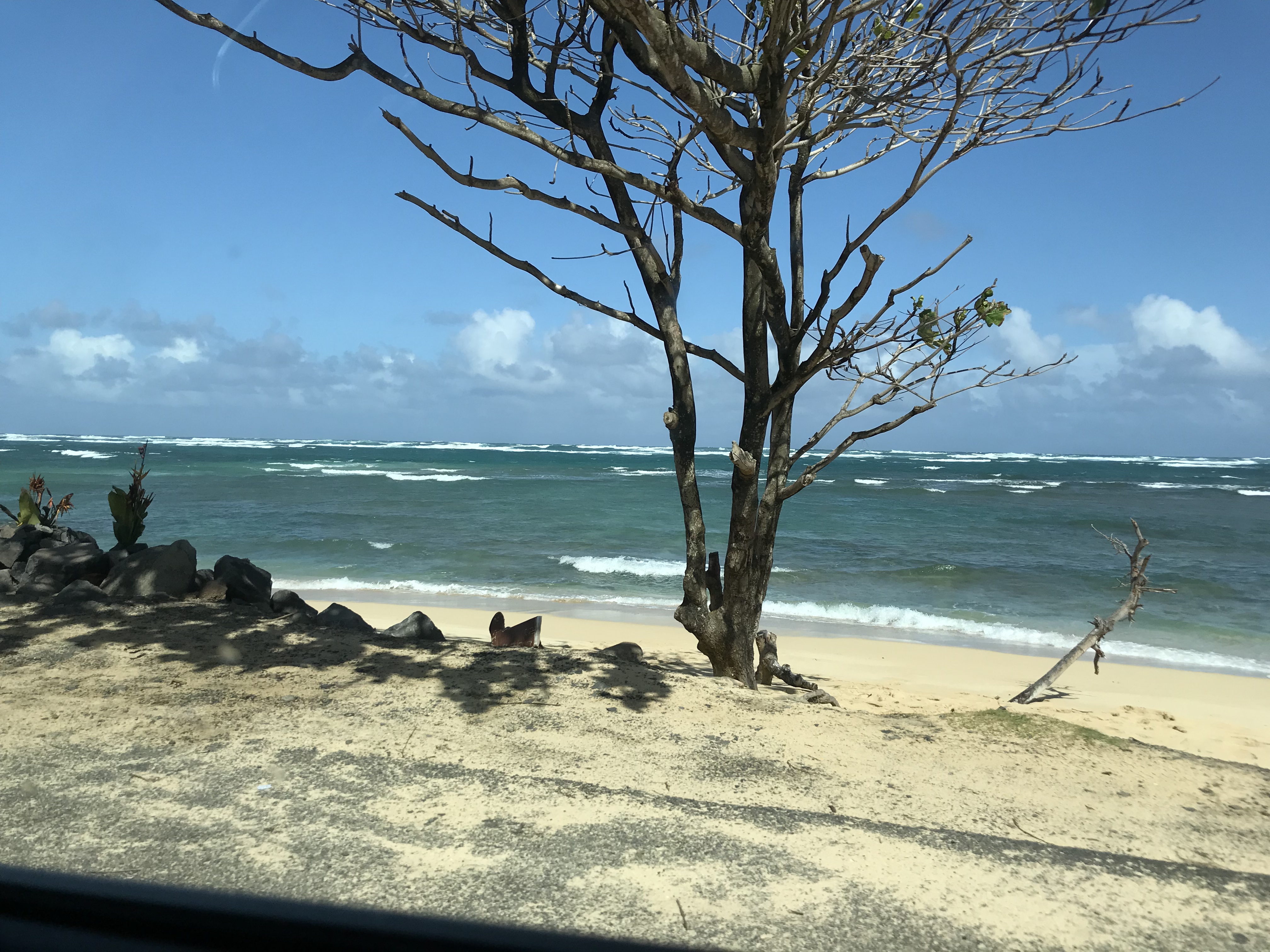 Two Sides to Every Coin