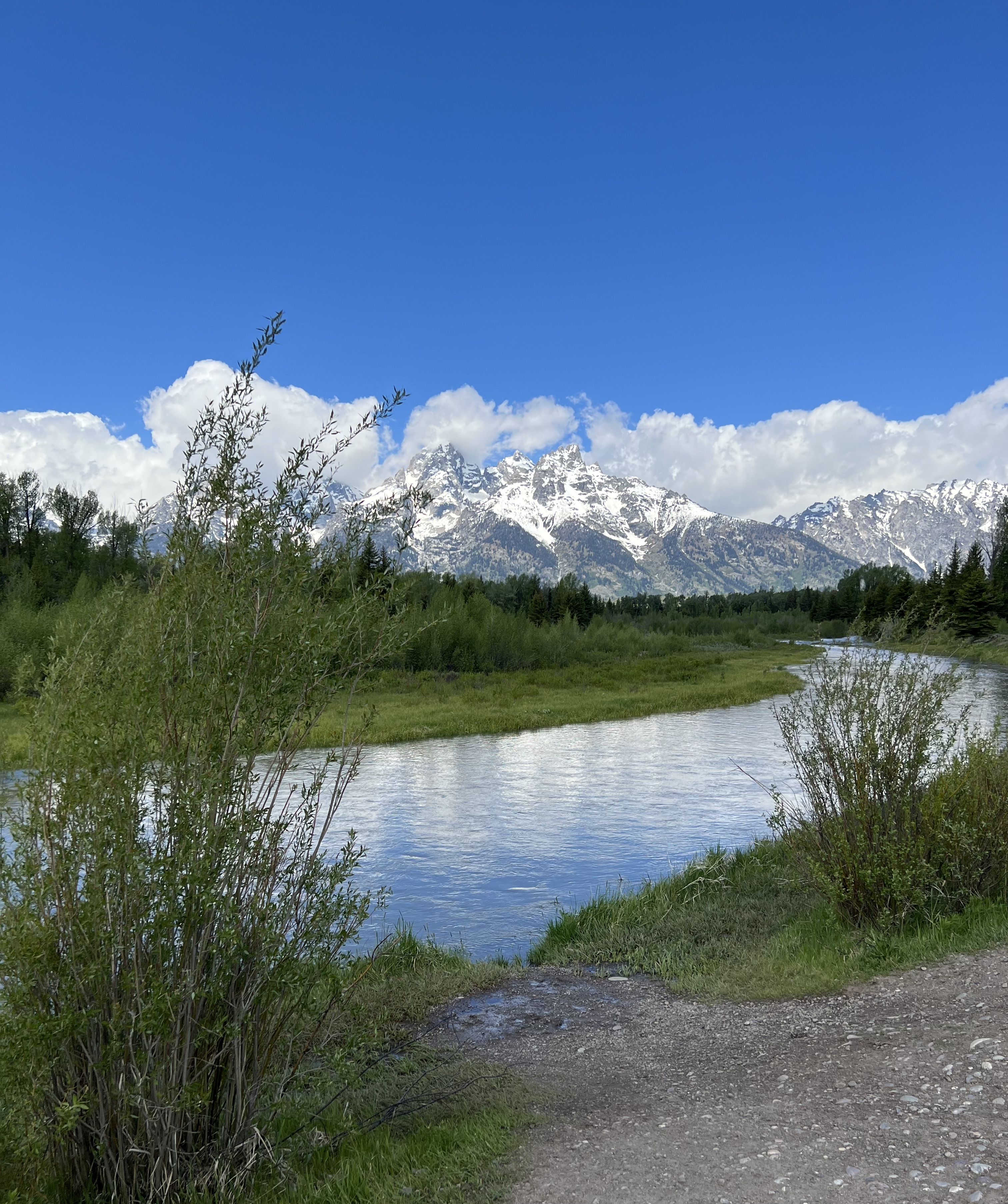 The Majesty of Nature